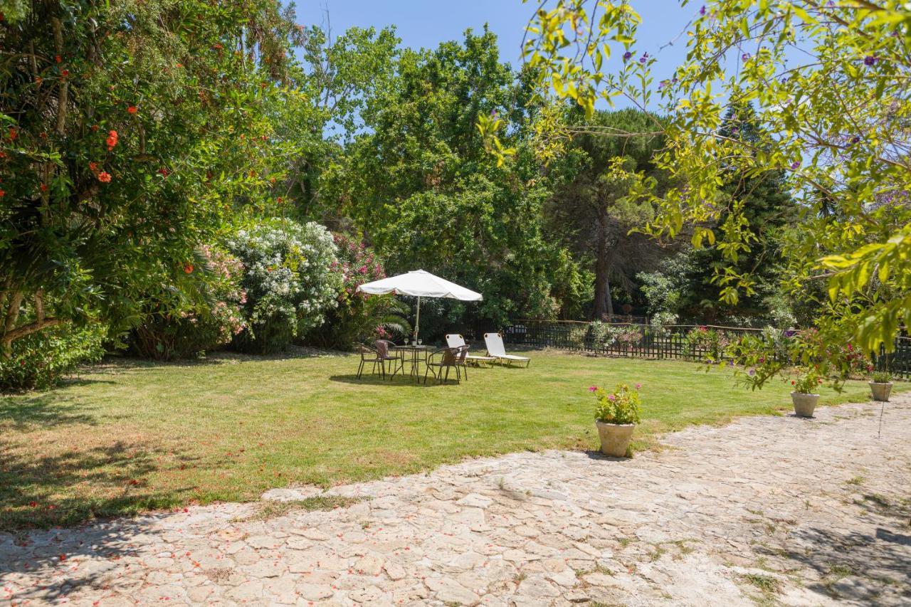 Jianni'S Villa - Stone Villa In The Greenery!! Vasilikí Extérieur photo